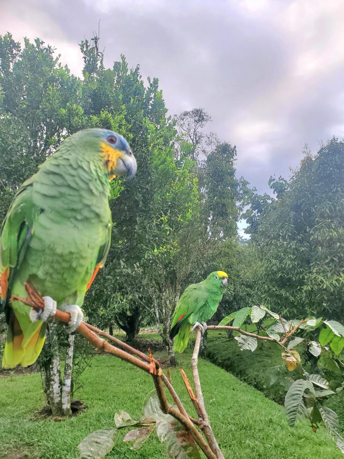 La Quinta De Andres Hotel San Isidro  Kültér fotó